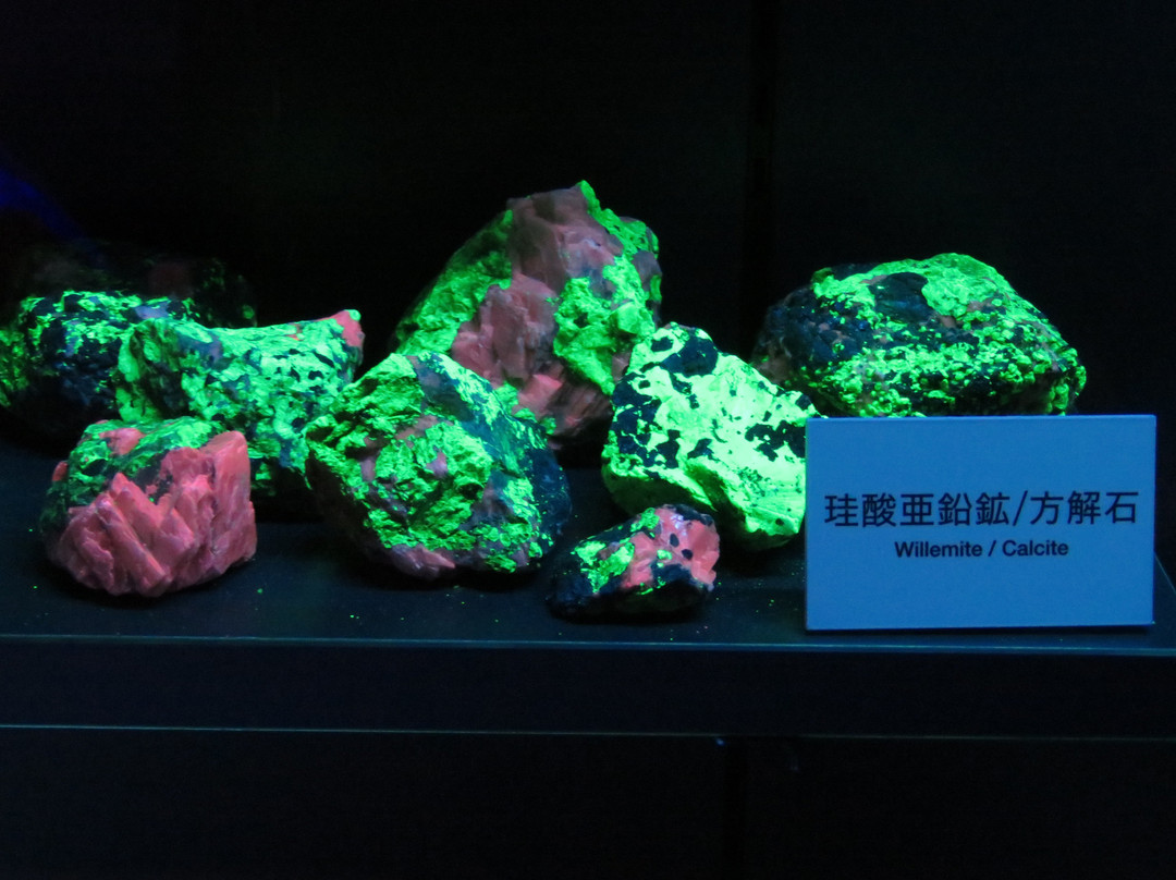 Gembudo Museum景点图片