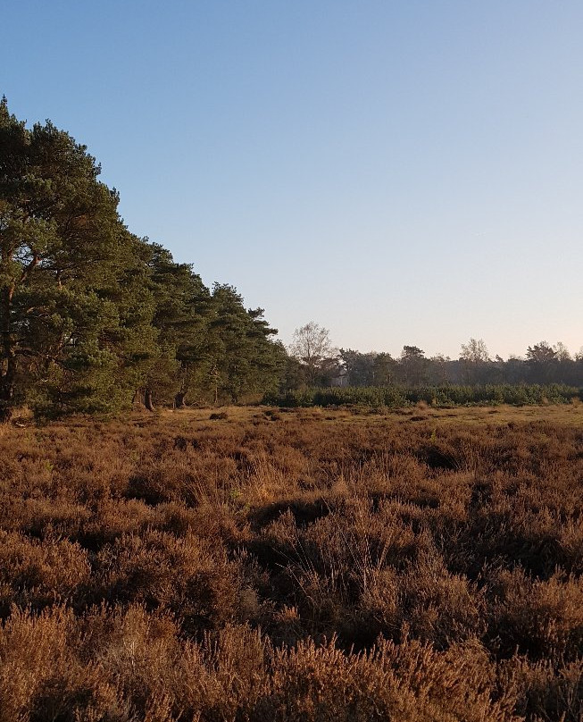 Ginkelse Heide-埃德必去景点