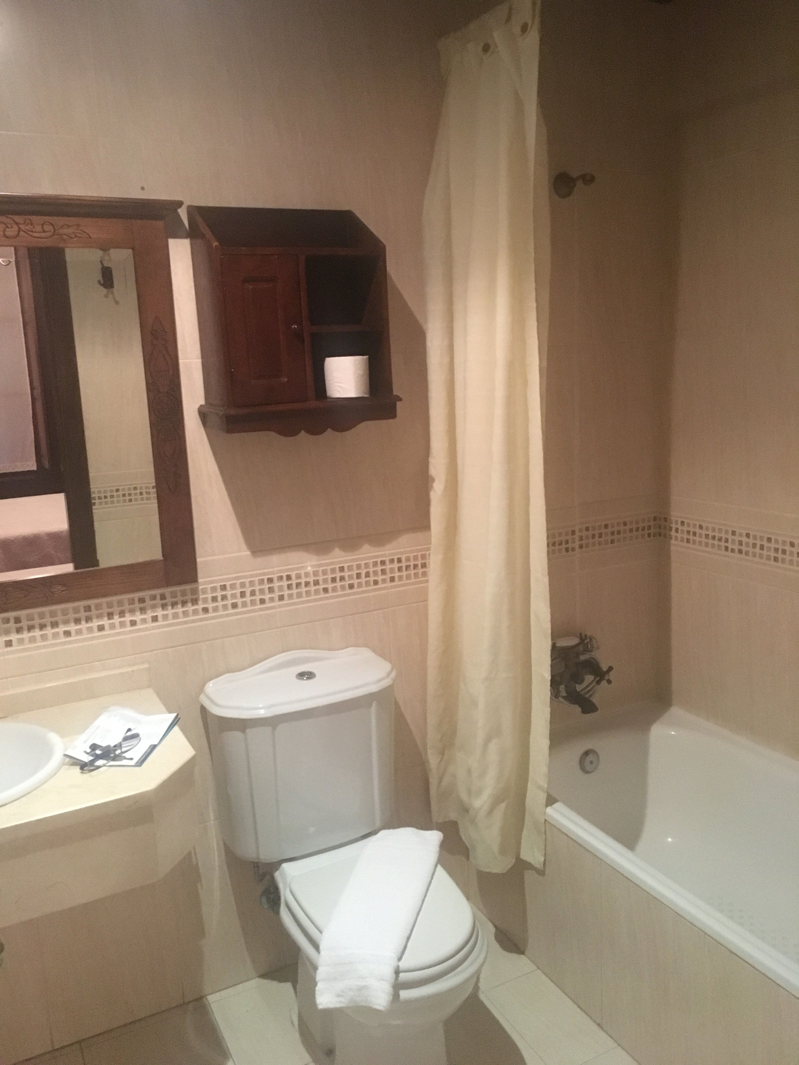 Hostal Virgen de la Encina-浴室