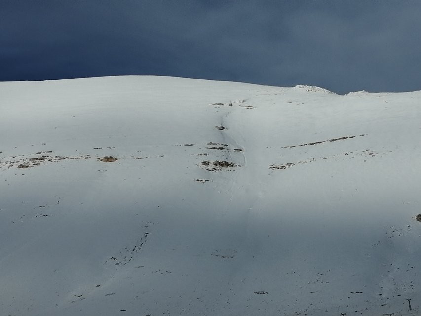 White Cedar Hotel主图