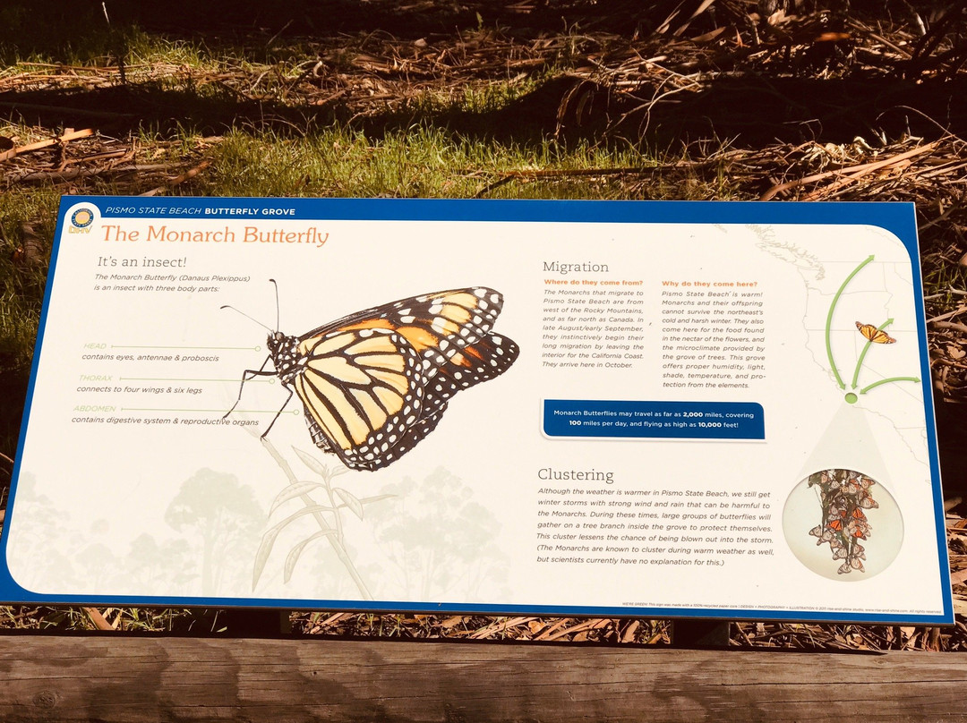 Monarch Butterfly Grove景点图片