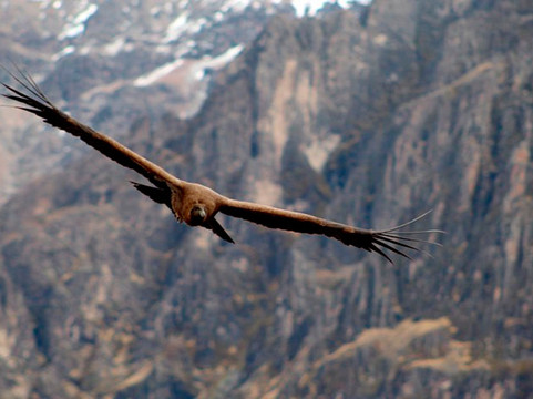 Tierra Etnica - Tours-阿雷基帕必去景点