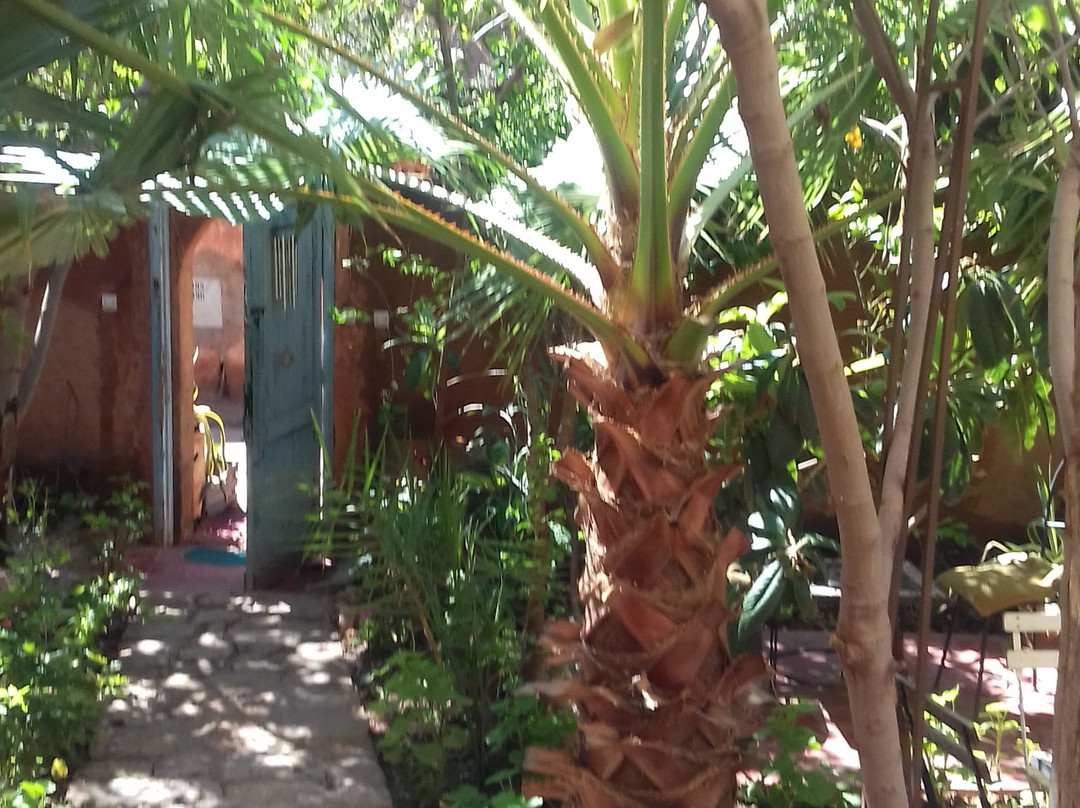 Riad Dar Ouzoud主图