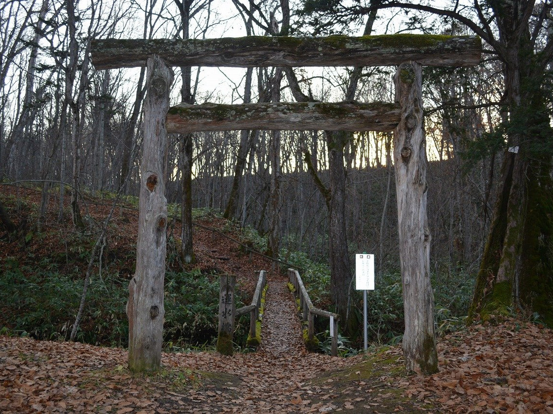 Raiun Shrine景点图片