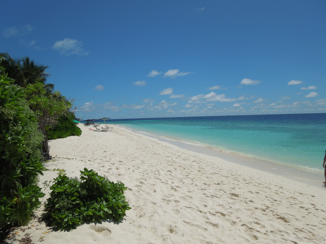 Paguro Beach Inn主图