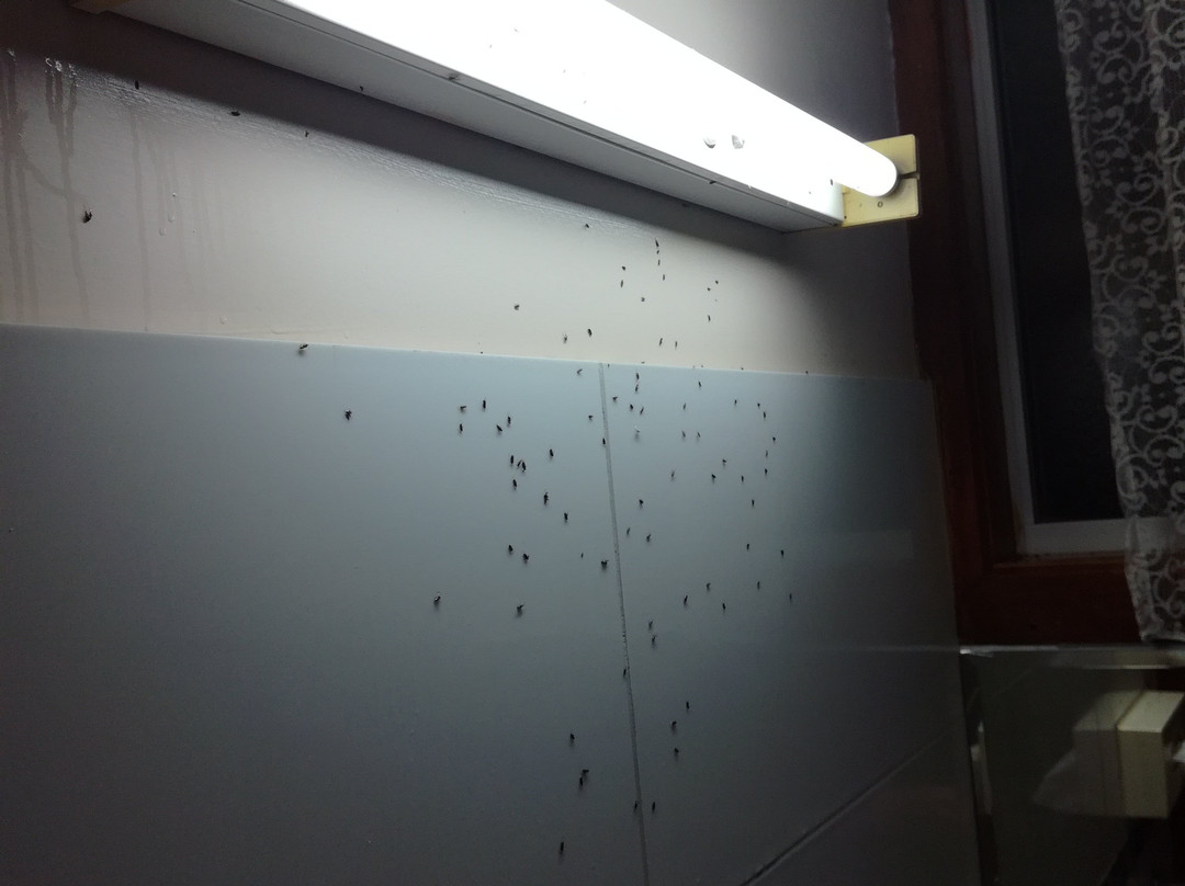 斯托尔汽车旅馆主图