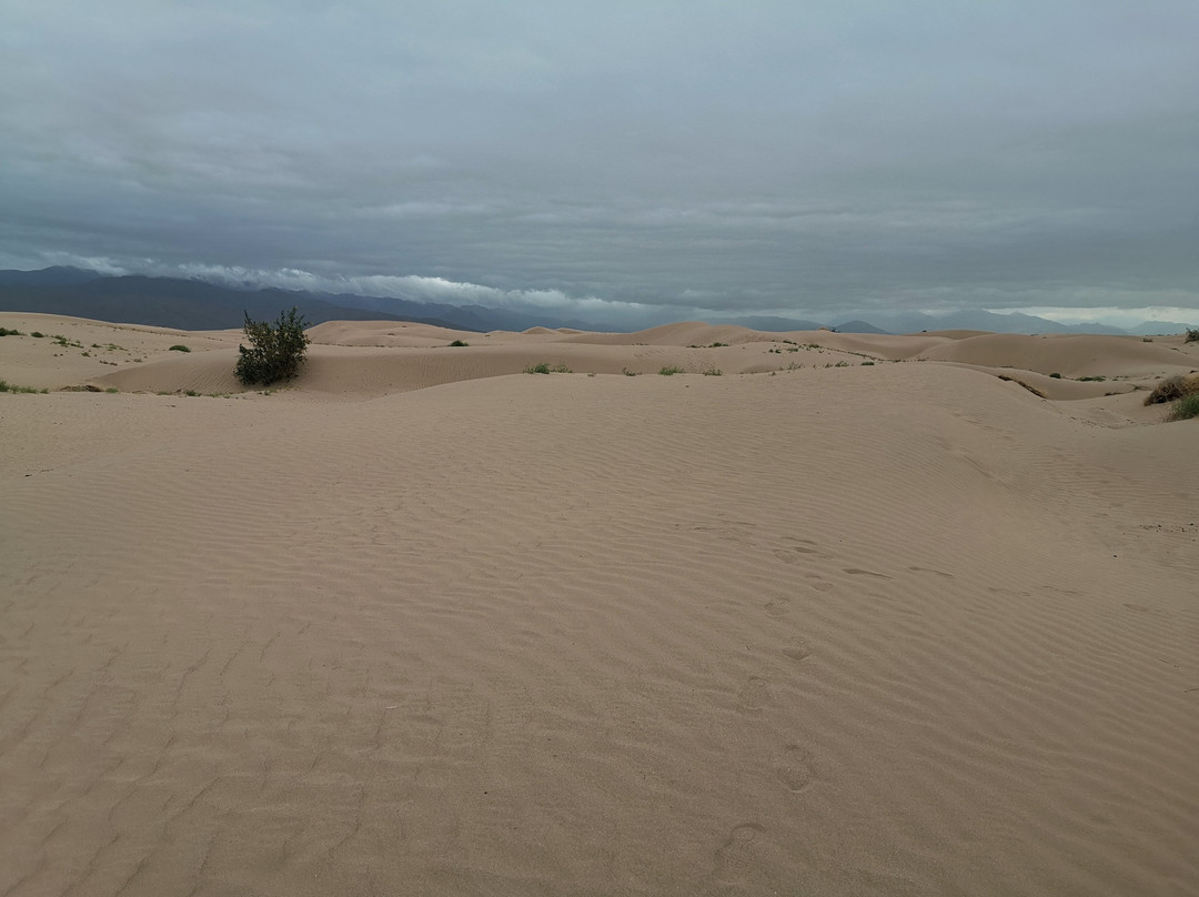Dunas de Bilbao-Viesca必去景点
