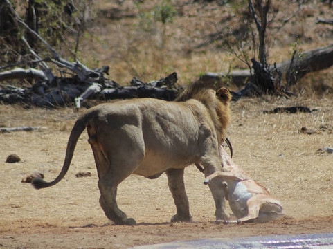 Muzi Safari Tours-雾观必去景点