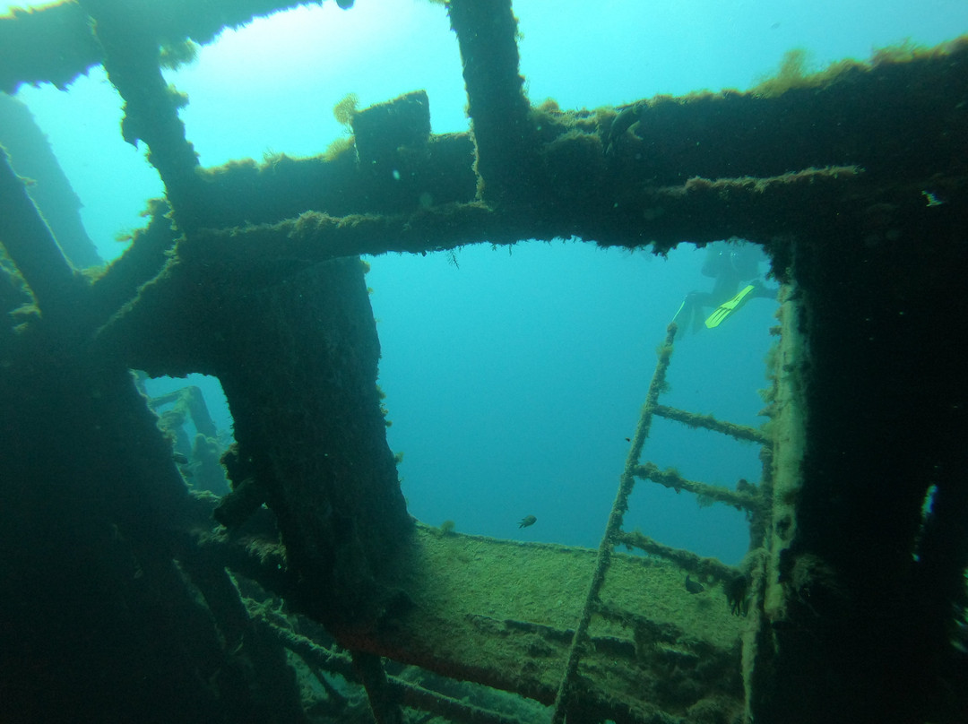 Techno Diving Lanzarote-卡门港必去景点
