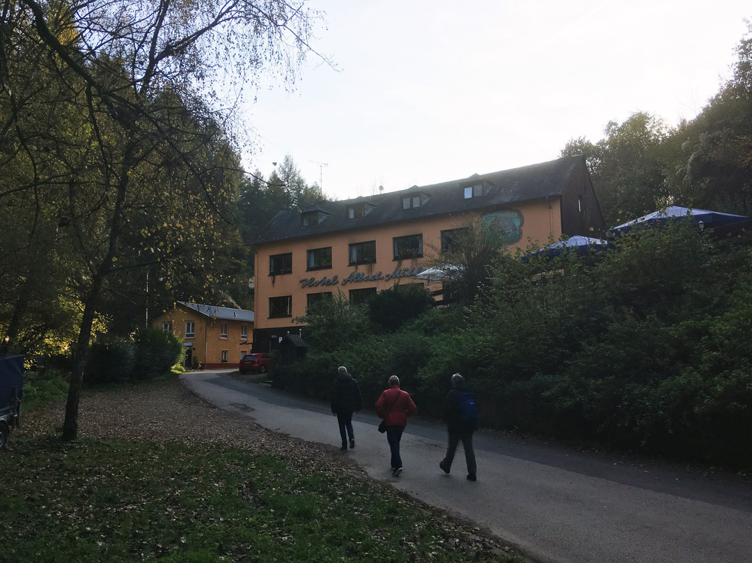 Waldhotel Albachmühle主图