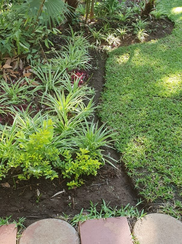 Xisaka Guest House主图