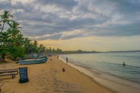 Arugambay Beach and Lagoon主图