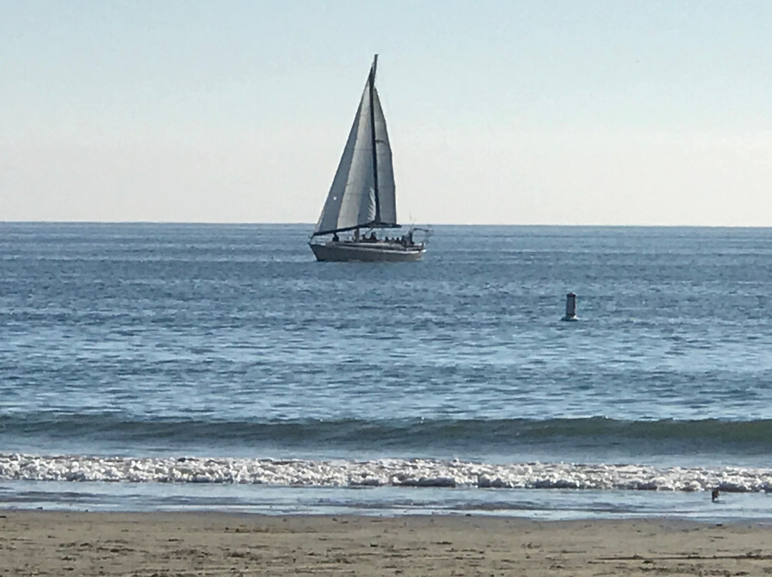 大洋棕榈汽车旅馆主图