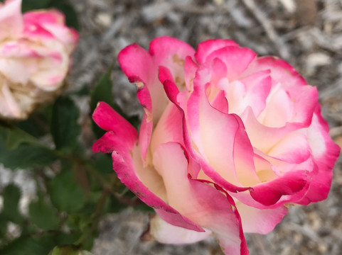 Victorian Timber Workers Memorial-Heyfield必去景点