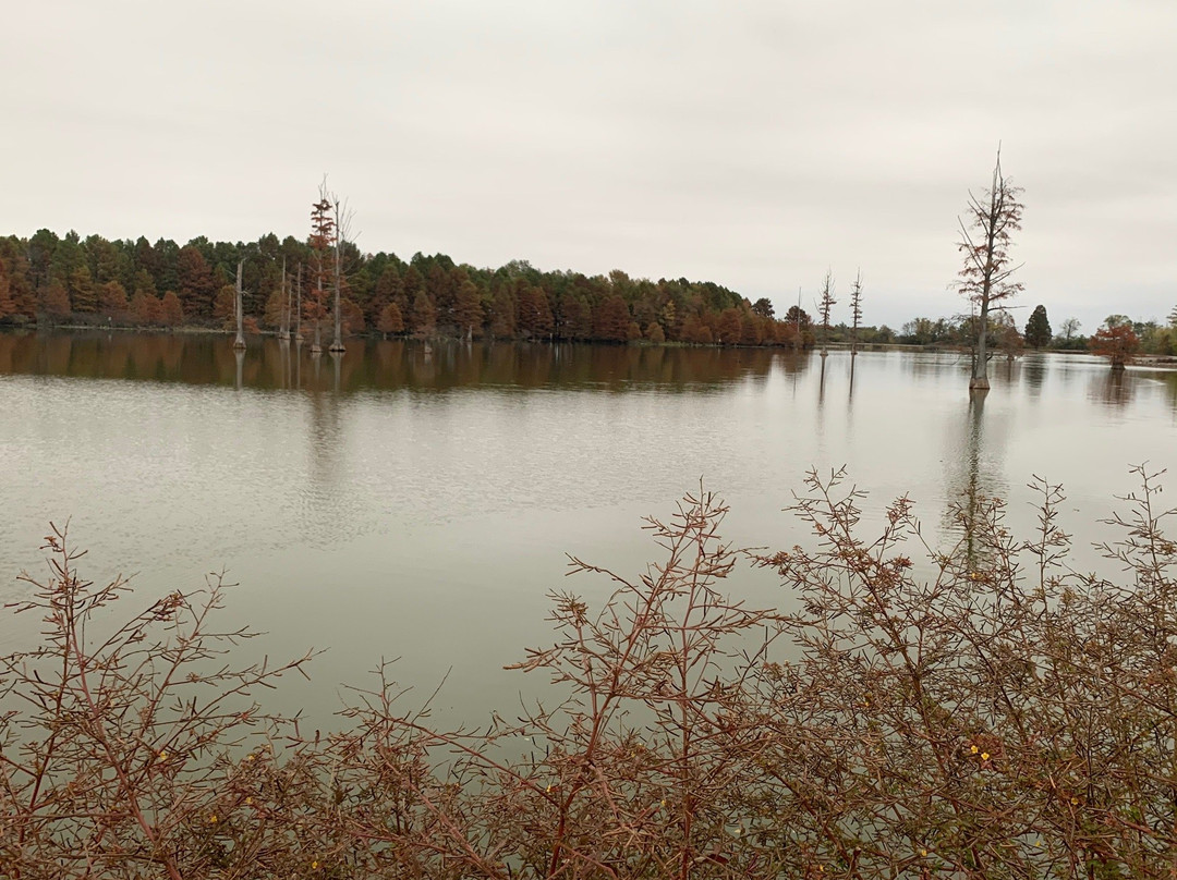 Mermet Lake State Fish and Wildlife Are-Belknap必去景点