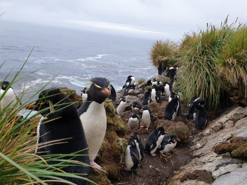 Kidney Island-Stanley必去景点