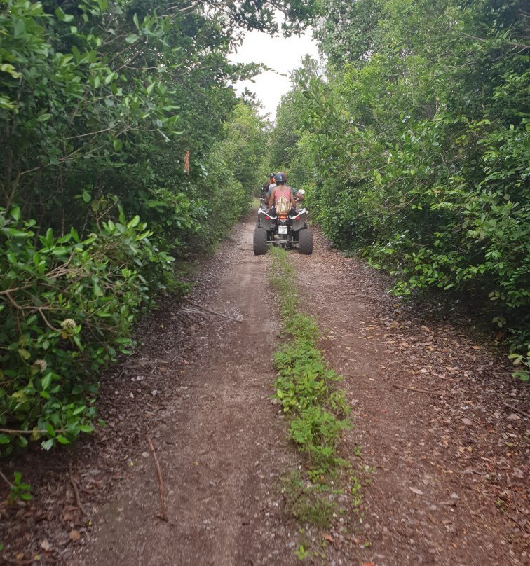 Zanzi Quad Safari-必韦久必去景点