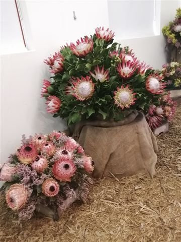 Fernkloof Nature Reserve-赫曼努斯必去景点