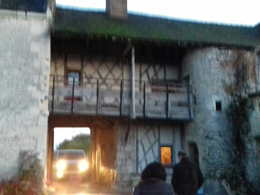 Château de Chémery景点图片