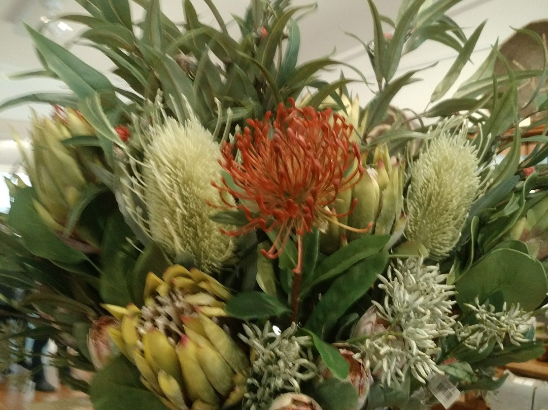 Gallery Aura-Kojonup必去景点