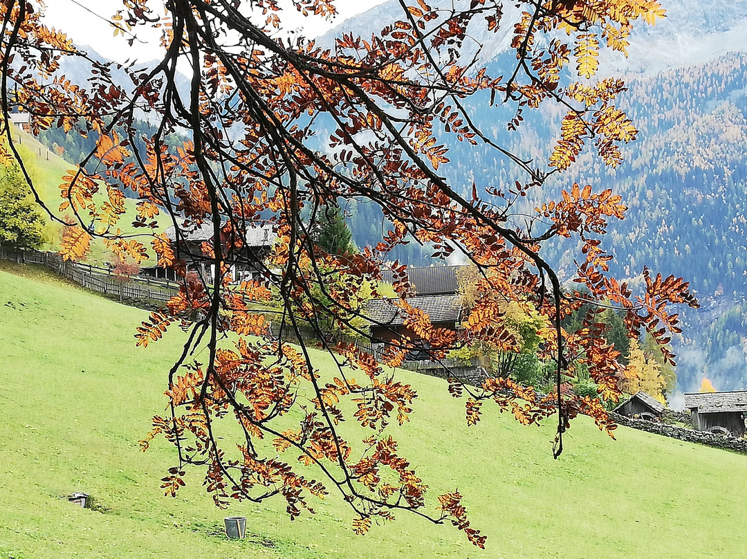 Vitaurina Royal Hotel主图