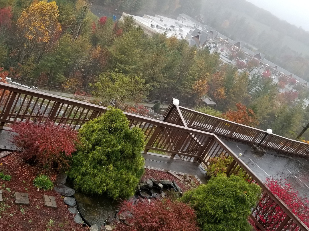 Cliff Dwellers Inn主图