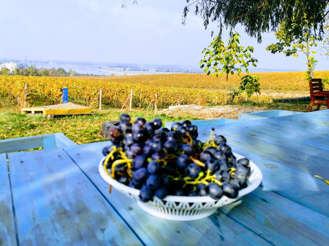 Ostrov旅游攻略图片