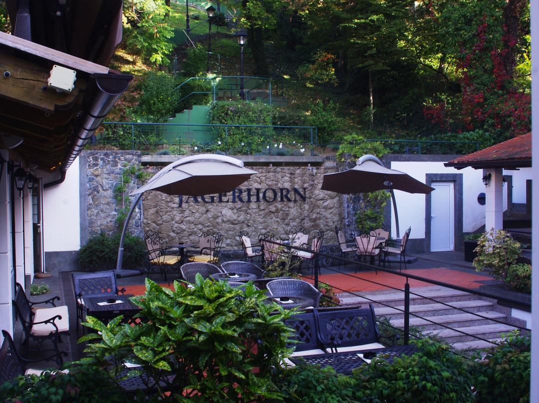 Hotel Jagerhorn主图
