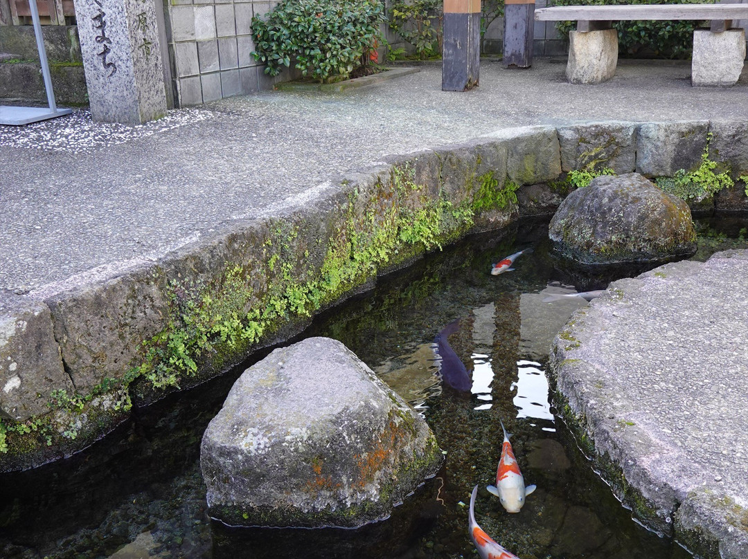 The Town of Swimming Carp-岛原市必去景点