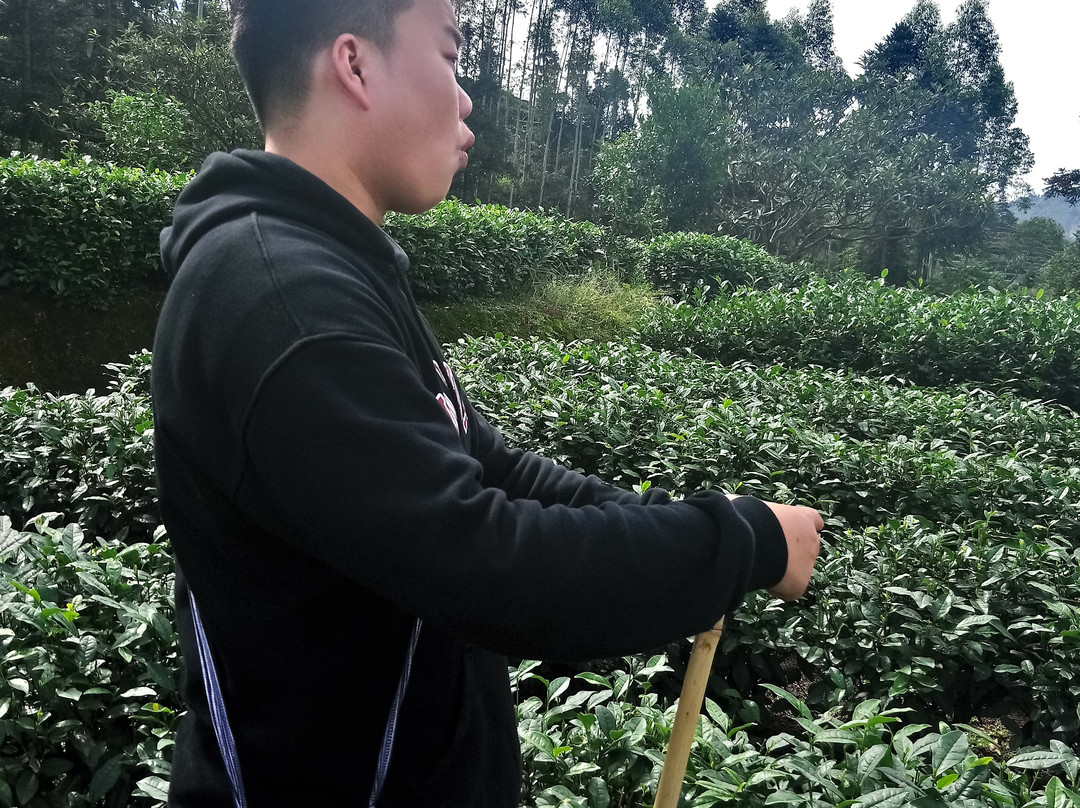 U2panda-成都必去景点