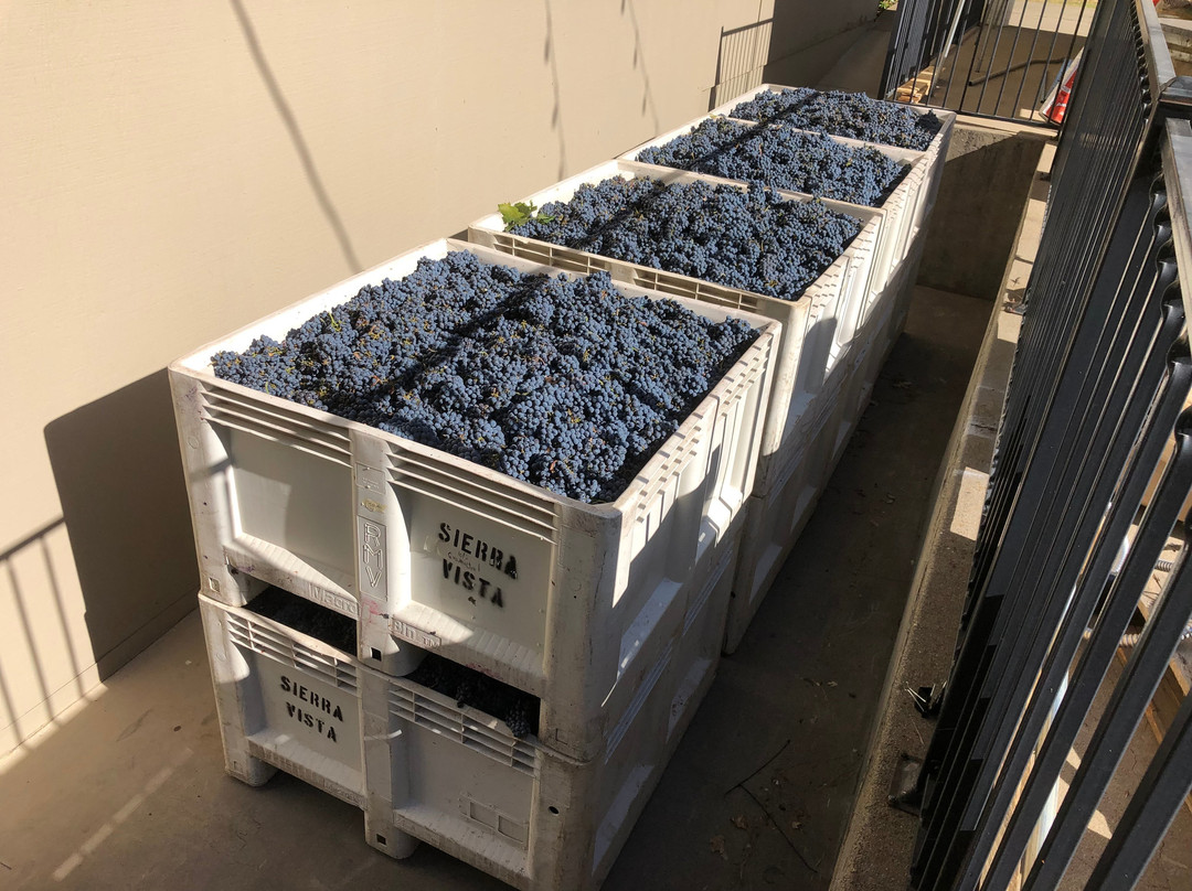 Sierra Vista Winery and Vineyards景点图片