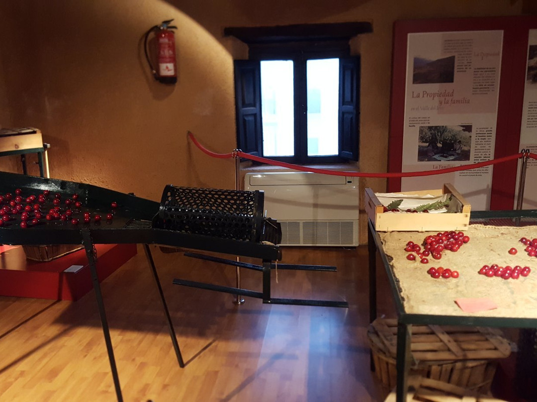 Museo de la Cereza景点图片