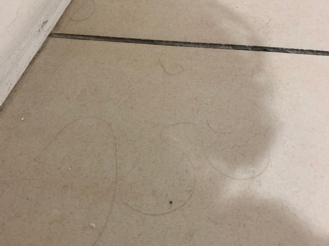 Residhome Courbevoie la Défense主图