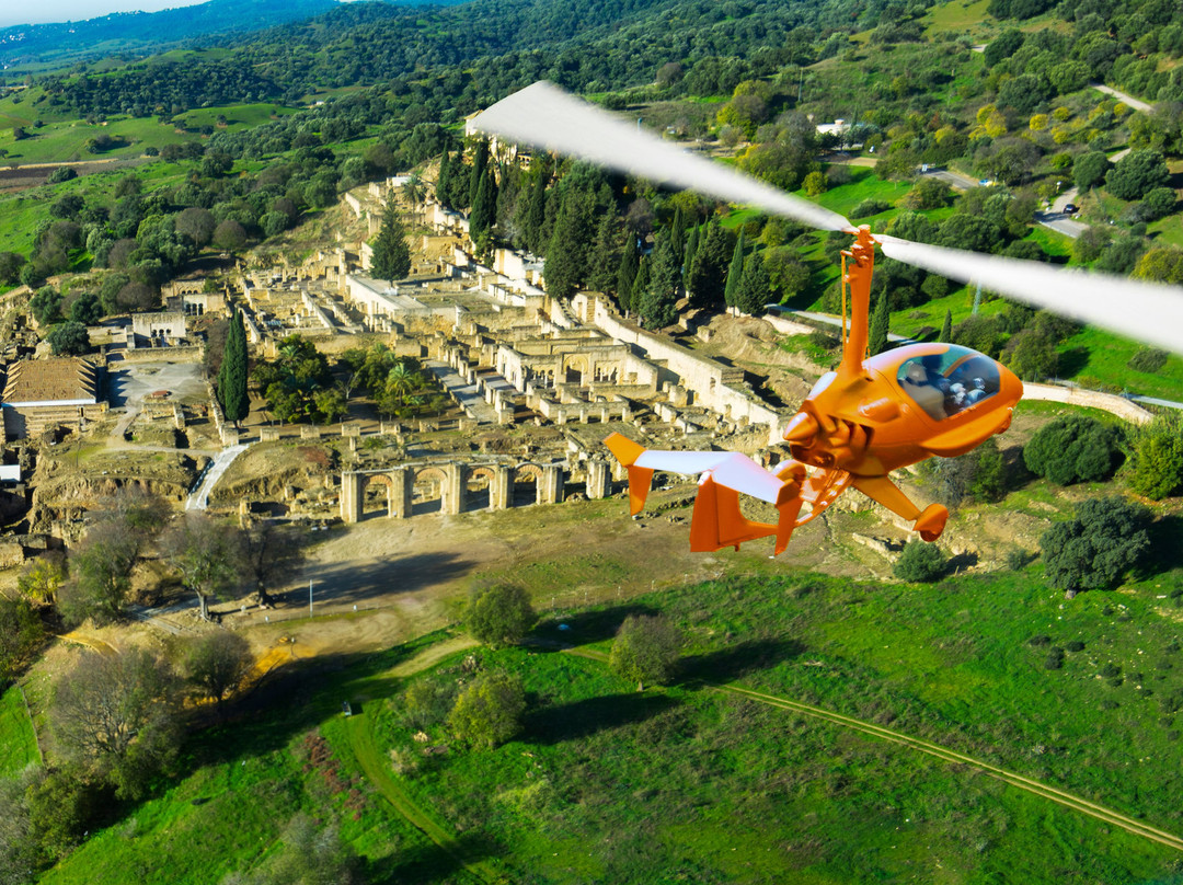 Falcon View Tours-科尔多瓦必去景点