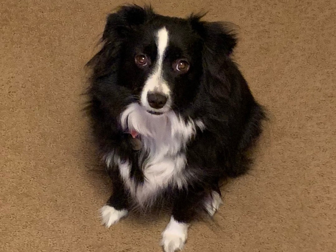 The Cayucos Motel主图