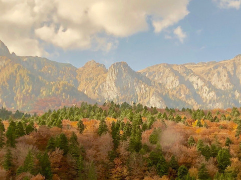 Flip Flop Tours-布拉索夫必去景点