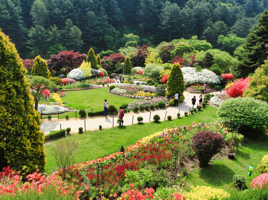 The Garden of Morning Calm景点图片