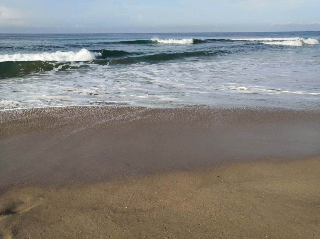 Playa Cerritos-马萨特兰必去景点