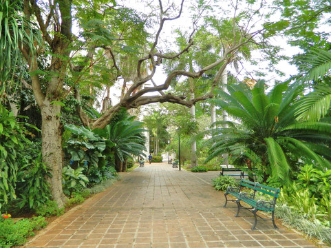 San Jose de Las Lajas旅游景点-Jardin Madre Teresa de Calcuta