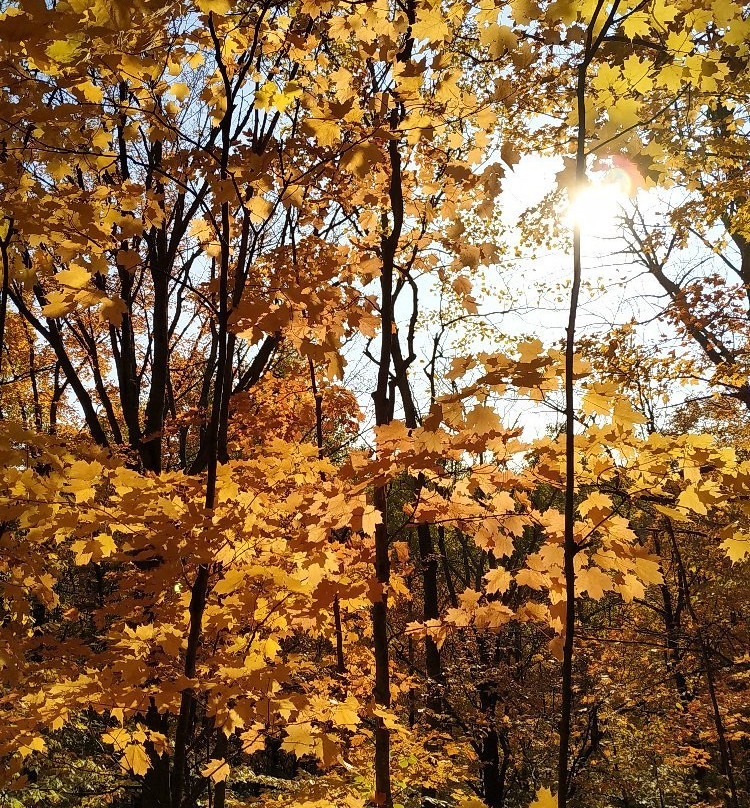 Hockley Valley Provincial Nature Reserve-Mono必去景点