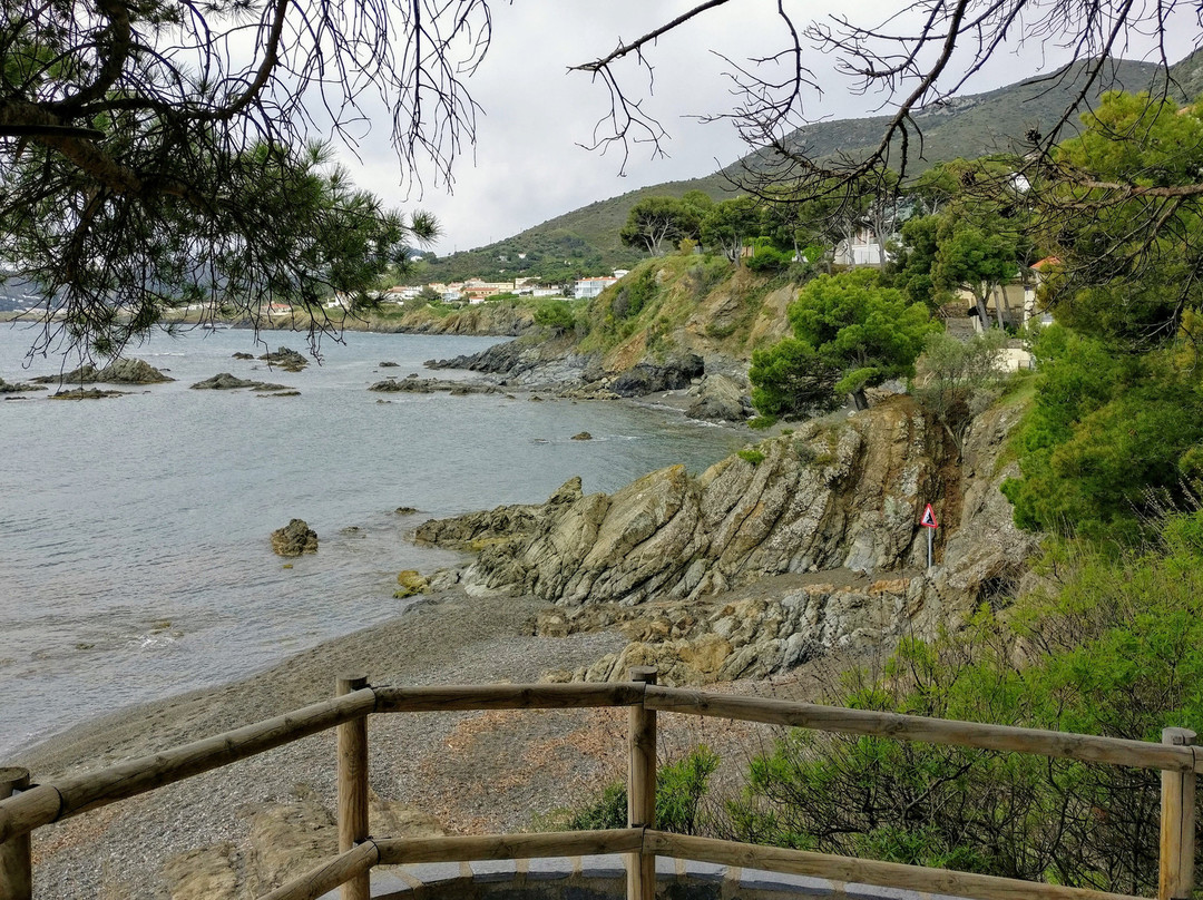 Playa La Farella景点图片