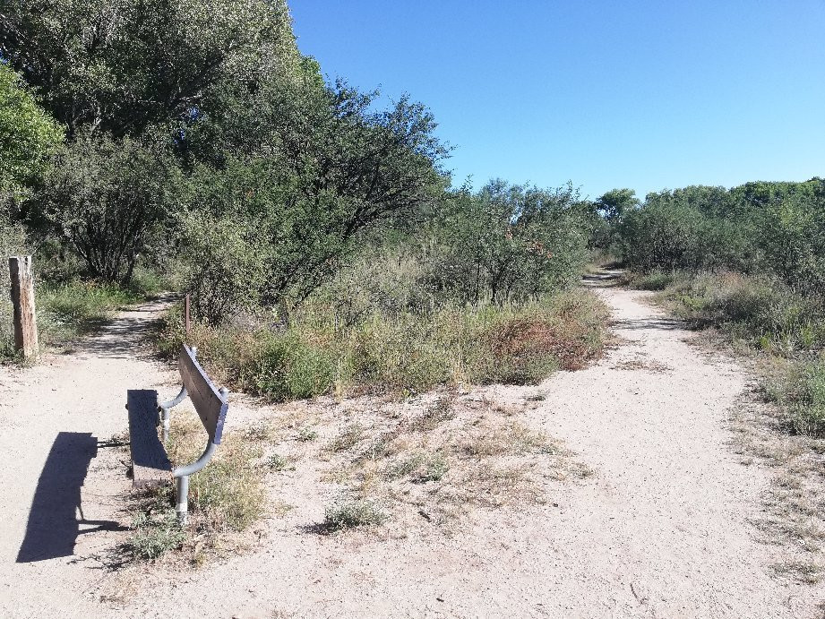 San Pedro Riparian National Conservation Area景点图片