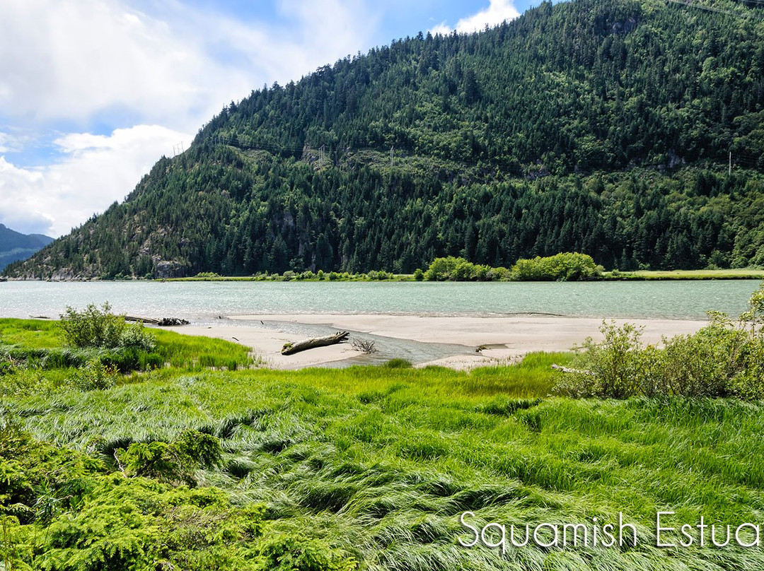 Squamish Estuary景点图片