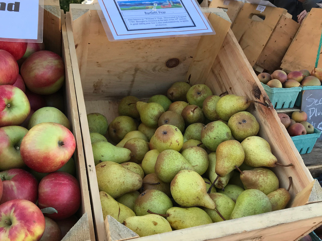 Burlington Farmers Market景点图片