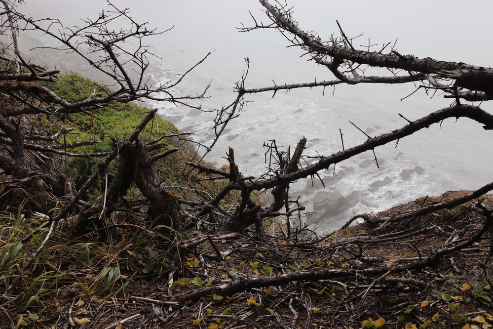 Blacklock Point Trail-Sixes必去景点
