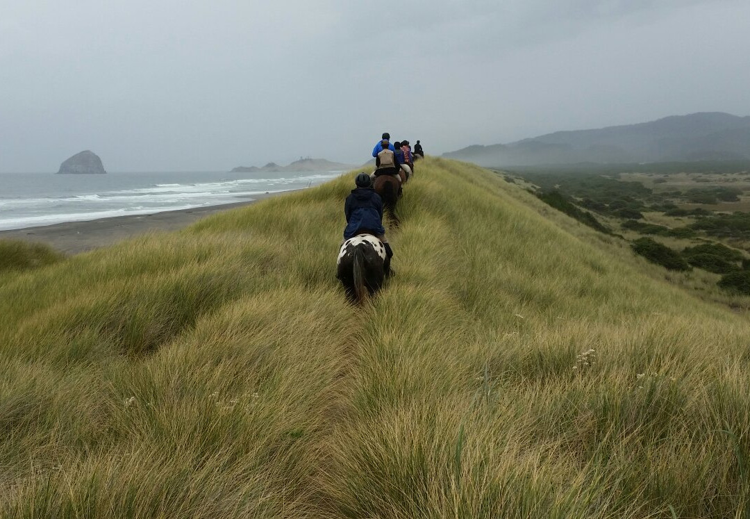 Willamette Coast Ride-Carlton必去景点
