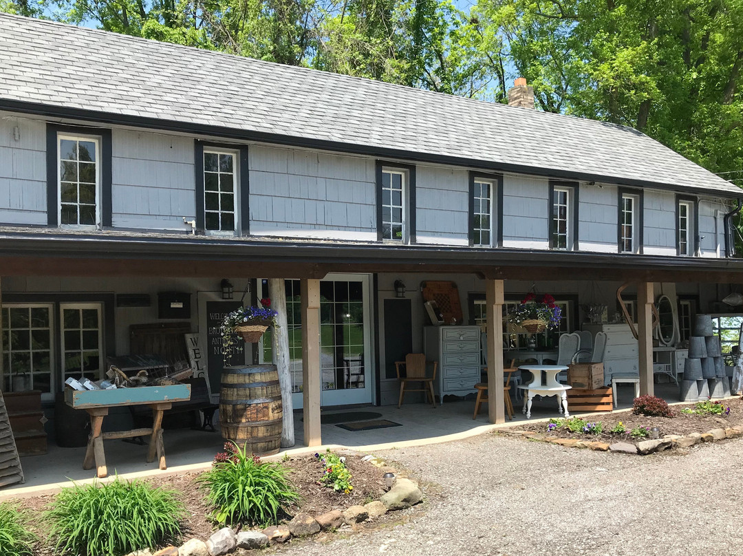 Medina旅游景点-Brothers Antiques