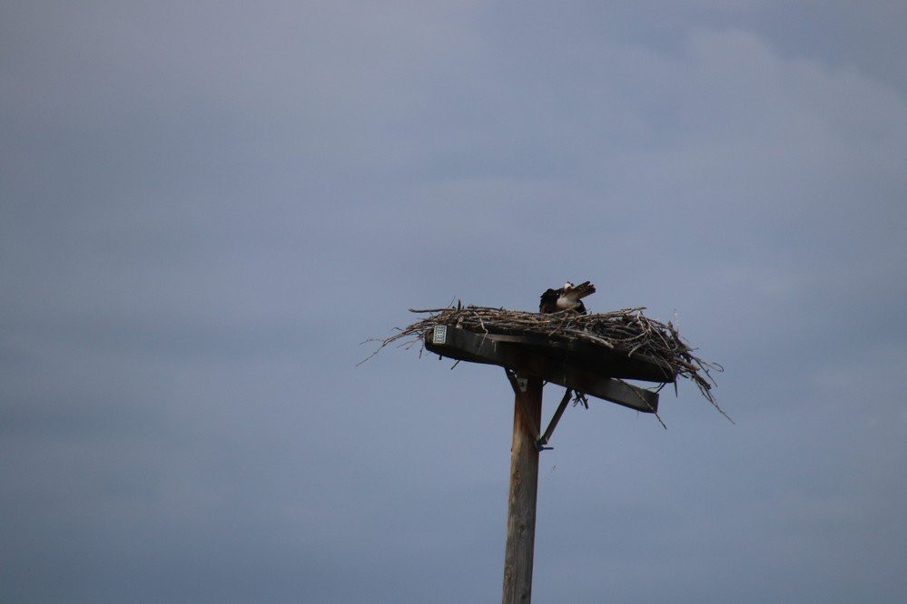 Lake Elmo State Park-比灵斯必去景点