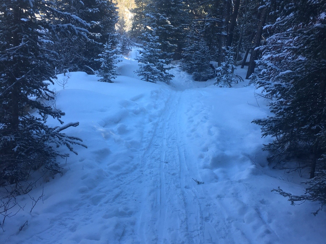 Silver Run Trails