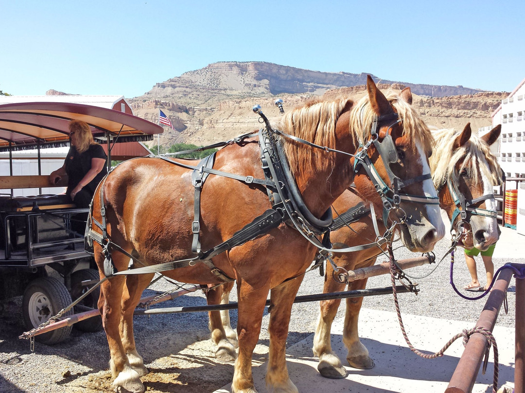 Mesa (Mesa County)旅游景点-Clark Family Orchards